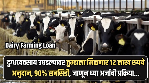 Dairy Farming Loan 2024